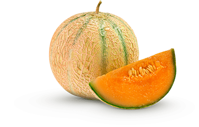 Melon